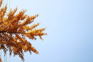 IMG_9970.JPG