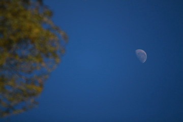 IMG_9975.JPG