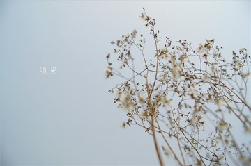 【须臾】