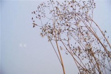 【须臾】