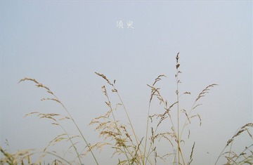 【须臾】