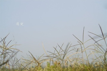 【须臾】