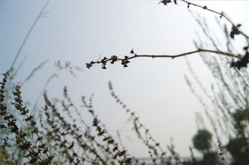 【须臾】