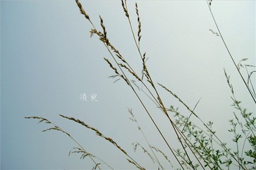 【须臾】
