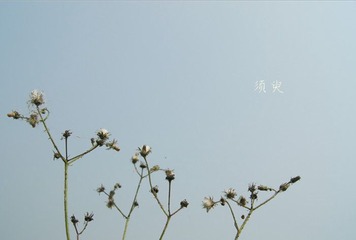 【须臾】