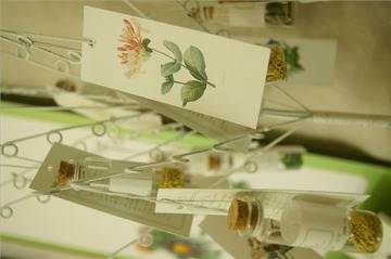 【毕业展】小物件