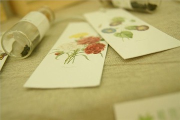 【毕业展】小物件