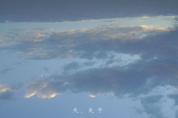 DSC00437_