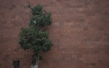 96BC67D5-92AB-4FD3-A981-80F98E743384/L0/001