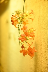 9625215F-027D-4717-835D-CC2C20F793B4/L0/001
