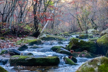 芳华如梦，似水流年