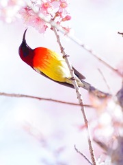 001