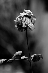 _DSC5319