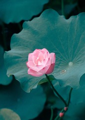 185B9B6D-7DAA-46D1-B48D-F0B4F66CFA13/L0/001