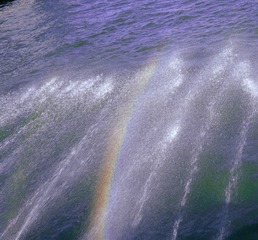 5D0A8D4E-9BA4-4DA6-8015-0FF73B8E5D48/L0/001