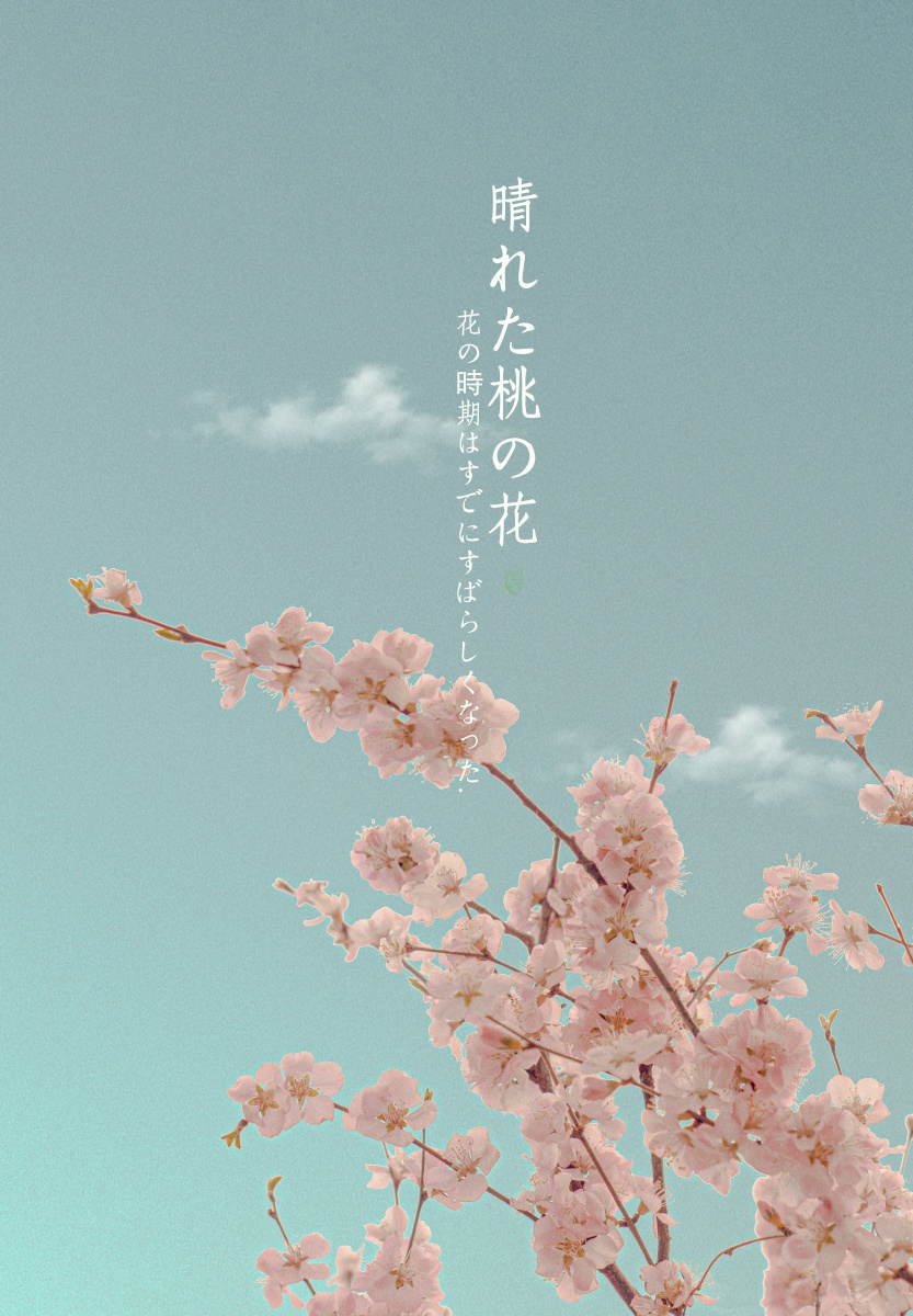 如花美眷似水流年