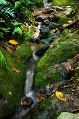 fall