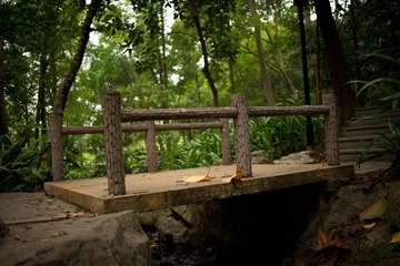 bridge