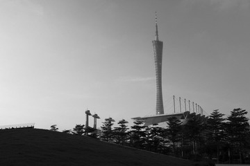 _DSC8475