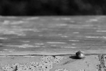 _DSC8524-2