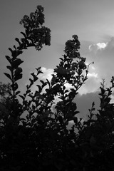 _DSC8593