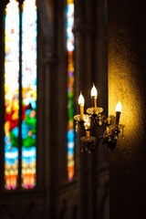 _DSC8874