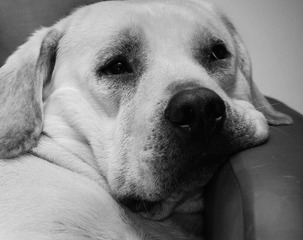 DSC05732_DxOFP