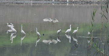 DSC_0059.jpg