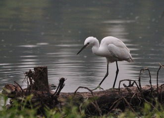 DSC_1072.jpg