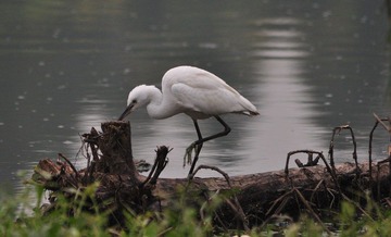 DSC_1073.jpg