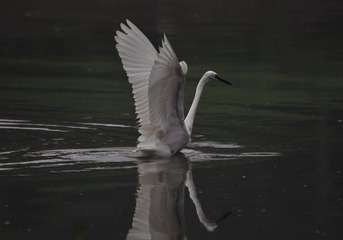 DSC_1504.jpg