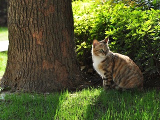 DSC_1151.jpg
