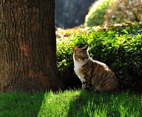 DSC_1153.jpg