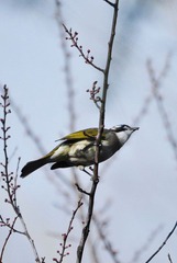 DSC_1158.jpg