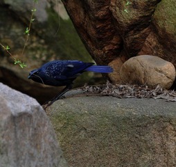 DSC_1268.jpg
