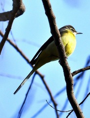 DSC_1219.jpg