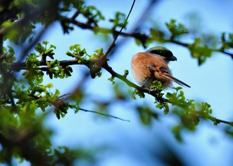 DSC_1434.jpg