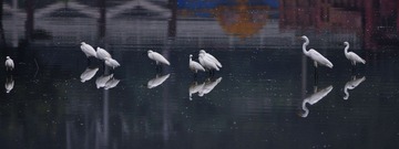 DSC_0603.jpg