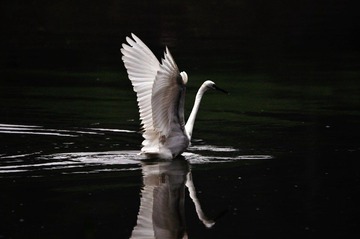 DSC_1504.jpg
