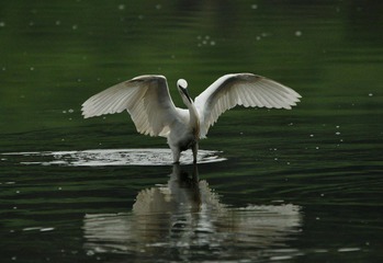DSC_0192.jpg