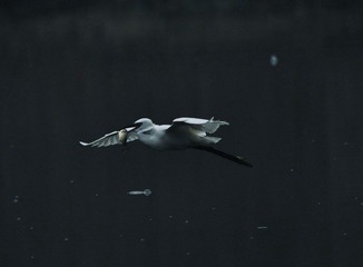 DSC_0221.jpg