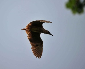 DSC_5740.jpg