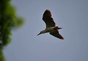 DSC_5667.jpg