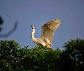 DSC_5702.jpg