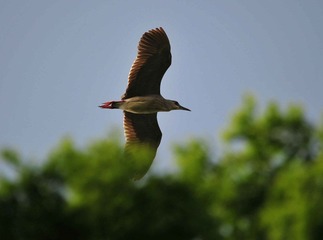 DSC_5707.jpg