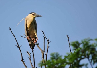 DSC_5736.jpg