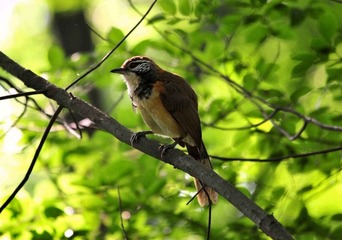DSC_6025.jpg