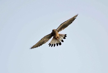 DSC_6203.jpg