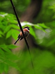 DSC_6406.jpg
