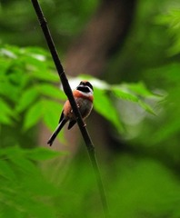 DSC_6407.jpg